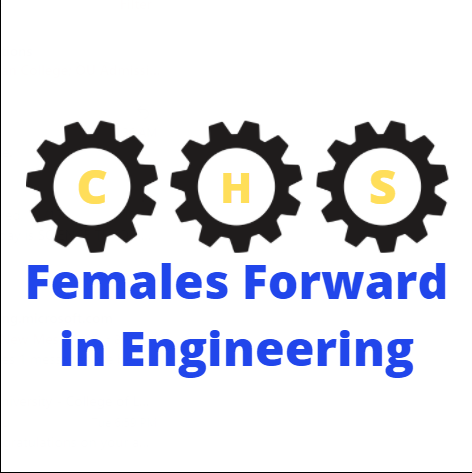 Females Forward in Engineering: Bridging the Gender Gap in STEM