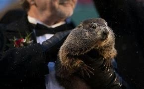 Groundhog Day Celebrations Pop Up This Weekend!