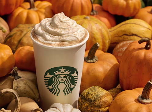 Fall Themed Items at Starbucks That are Spicetacular!