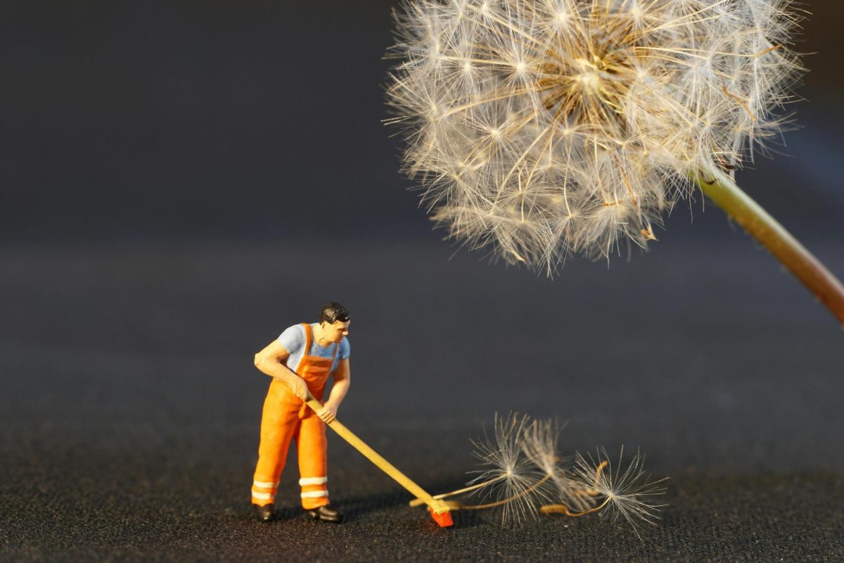 www.pexels.com/photo/shallow-focus-photo-of-man-holding-floor-brush-ceramic-figurine-434163/