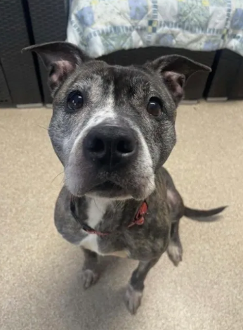 Miss Mabel
